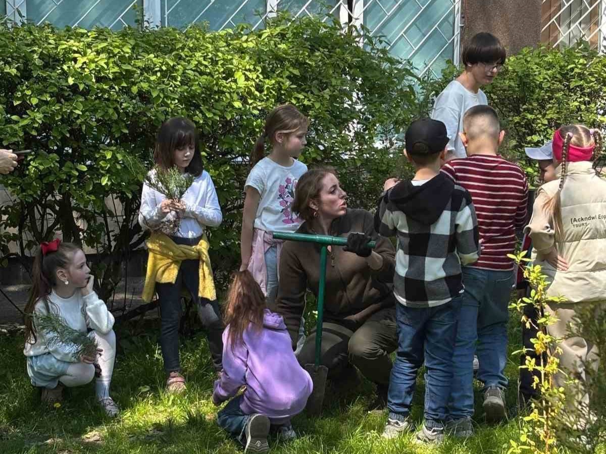 Озеленення території колегіуму